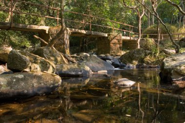 1 Ocak 2006 Plover Cove Country Park, tai po, hk