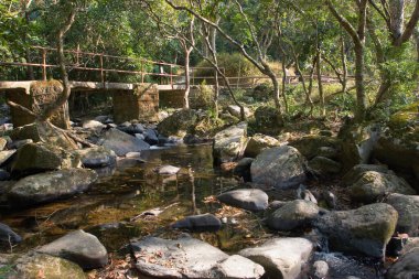 1 Ocak 2006 Plover Cove Country Park, tai po, hk