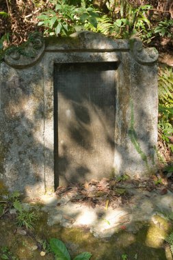 1 Ocak 2006 Plover Cove Country Park, tai po, hk