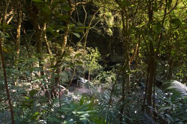 1 Ocak 2006 Plover Cove Country Park, tai po, hk