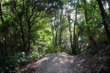 1 Ocak 2006 Plover Cove Country Park, tai po, hk