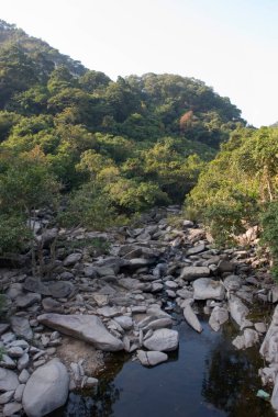 1 Ocak 2006 Plover Cove Country Park, tai po, hk