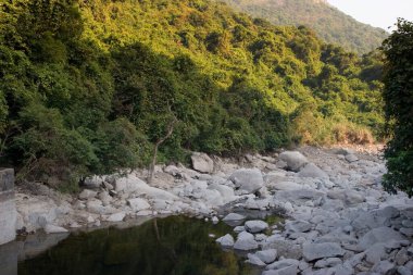 1 Ocak 2006 Plover Cove Country Park, tai po, hk