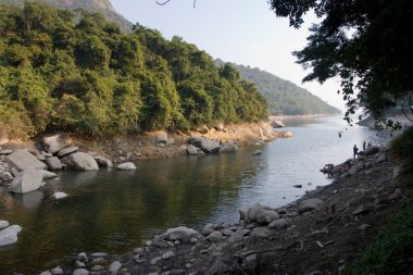 1 Ocak 2006 Plover Cove Country Park, tai po, hk