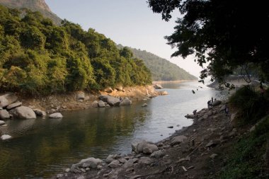 1 Ocak 2006 Plover Cove Country Park, tai po, hk