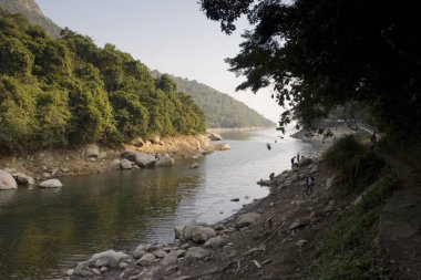 1 Ocak 2006 Plover Cove Country Park, tai po, hk