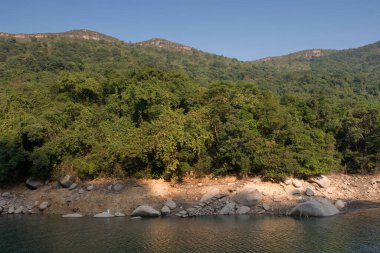 1 Ocak 2006 Plover Cove Country Park, tai po, hk