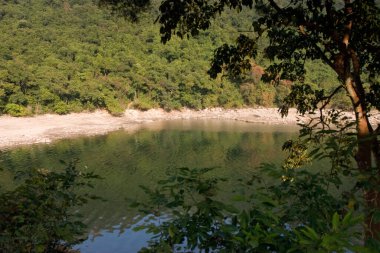 1 Ocak 2006 Plover Cove Country Park, tai po, hk