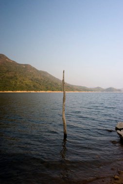1 Ocak 2006 Plover Cove Country Park, tai po, hk