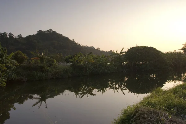 1 Ocak 2006 Plover Cove Country Park, tai po, hk