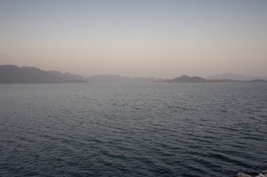 1 Ocak 2006 Plover Cove Country Park, tai po, hk