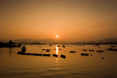1 Ocak 2006 Plover Cove Country Park, tai po, hk