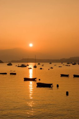 1 Ocak 2006 Plover Cove Country Park, tai po, hk