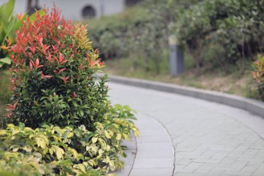 Yolları ve çiçekleri olan park. Geniş resim.