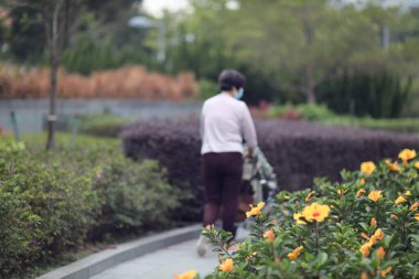 Sonbahar parkında yürüyen yaşlılar, hk