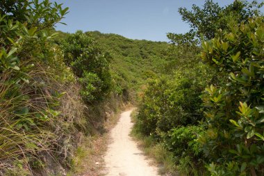 23 Nisan 2006 Hong Kong Patikası, dağda yürüyüş.