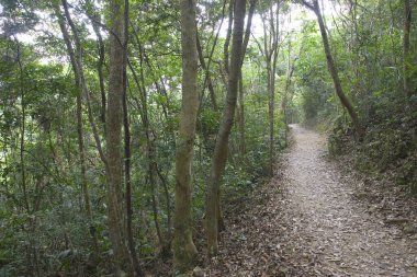 23 Nisan 2006 Hong Kong Patikası, dağda yürüyüş.