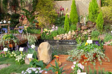 Çimlerin üzerinde çok renkli bir çiçek bahçesi, güzel bir bahar bahçesi.