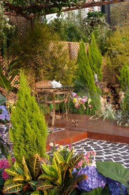 Bahçe düzenlenmiş bir çiçek bahçesi, çimlerin üzerinde çok renkli bir çiçek bahçesi.