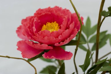 11 Mart 2006 un ile yapılan çiçek sanatı. Hong Kong.