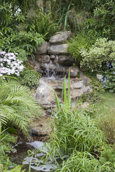 Une Lanterne Japonaise Dans Jardin Avec Des Fleurs — Photo