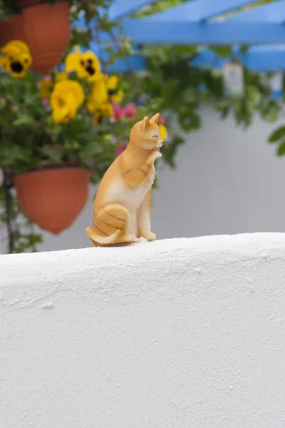 外墙花园后地面上可爱的猫娃娃 — 图库照片