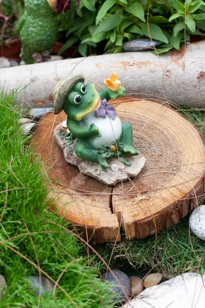 Маленькая Забавная Статуя Лягушки Траве Саду — стоковое фото