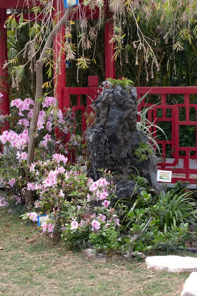 Jardín Estilo China Exposición Flores Marzo 2006 — Foto de Stock
