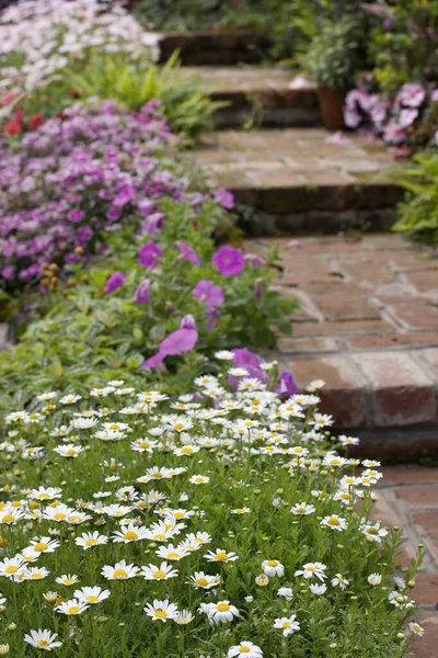 Colourful Flowerbeds Winding Grass Lawn Stock Image