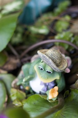 11 Mart 2006 'da çiçek tarhında bir kurbağa seramik bebeği. 