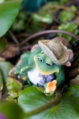 11 Mart 2006 'da çiçek tarhında bir kurbağa seramik bebeği. 