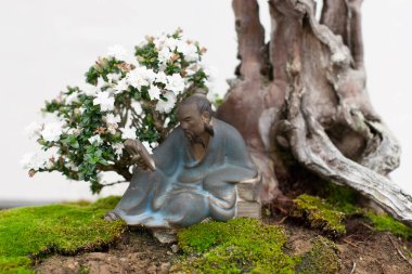 Bonsai ve Penjing minyatür bir tepside insan hayatında şöyle der: