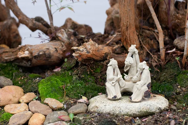 Bonsai Penjing Miniaturou Podnose Jak Říká Lidském Životě — Stock fotografie