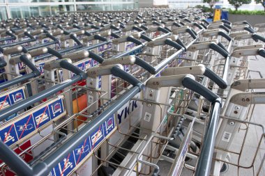 25 Mart 2006 'da havaalanındaki bagaj vagonunda taşınıyor. 