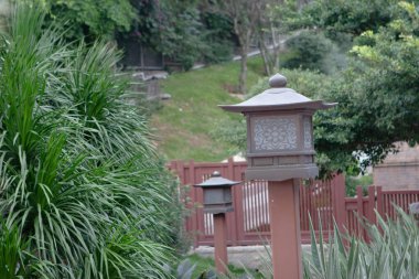Nan Lian Garden 'daki ağaç, Hong Kong 9 Aralık 2006 