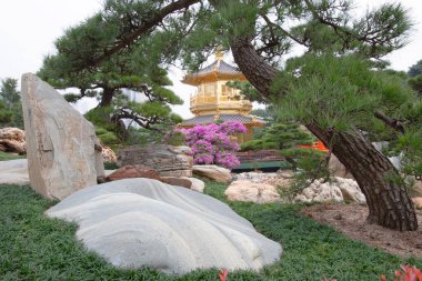 9 Aralık 2006, Hong Kong 'daki Nan Lian Garden.
