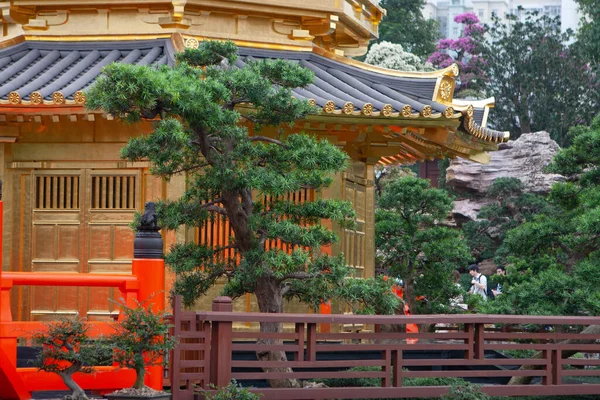 Golden Pavilion Perfection Nan Lian Garden Hong Kong Dec 2006 — 스톡 사진