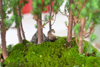  Sapın şekli, doğada güzel sanatlar yaratıyor..