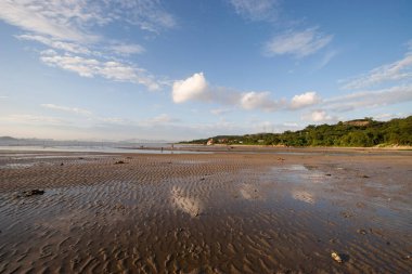 Na Pak Nai, Yuen Long 'un bataklık bölgesi.,