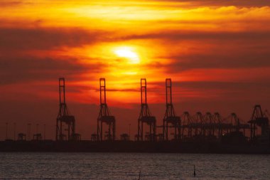 1 July 2006 Shekou Container Terminals, view from Ha Pak Lai