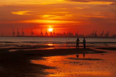 1 July 2006 the sunset of Shekou Container Terminals