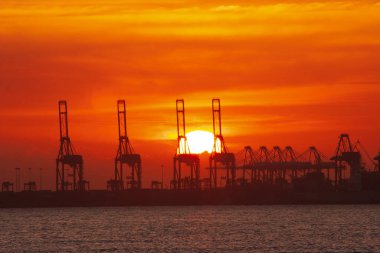 1 July 2006 the sunset of Shekou Container Terminals