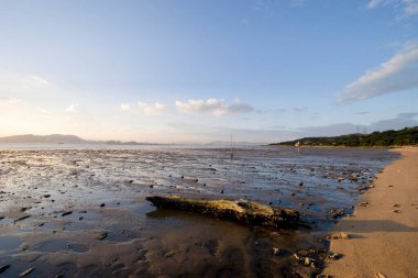 1 Temmuz 2006 Pak Nai Hong Kong 'da güzel bir sahil ve deniz batımı. 
