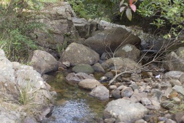 Hong Kong 'daki dağ parkının derindeki nehir.