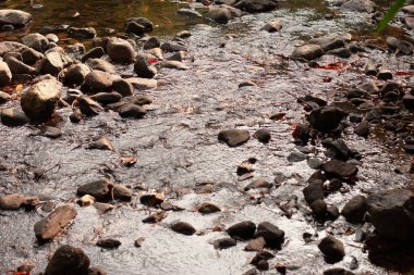 Hong Kong 'daki dağ parkının derindeki nehir.