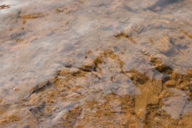 Hong Kon 'daki dağ parkının derindeki nehir.