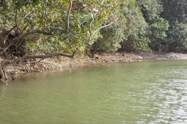 Lau Shui Heung Reservoir, Hong Kong 'da. Kırsal alan