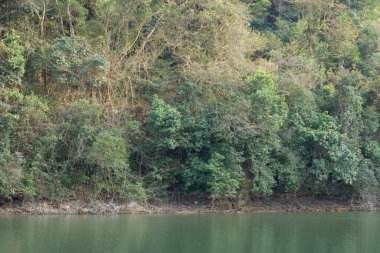Lau Shui Heung Rezervuarı Hong Kong 'da. Kırsal alan
