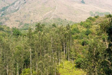 Pat Sin Leng Country Park 'ta doğa manzarası