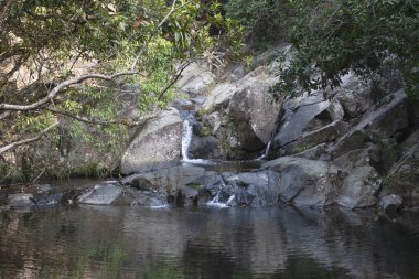 Hong Kong 'daki şehir parkında bir nehir.